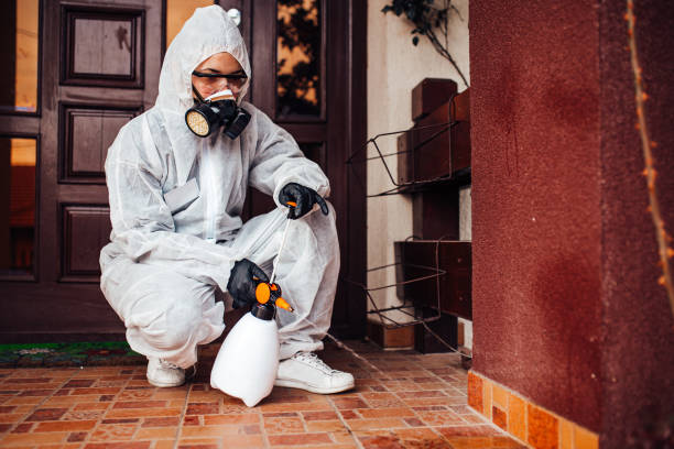 Attic and Crawl Space Rodent Treatment in Berry College