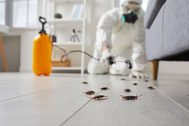 Commercial Rodent Management in Berry College